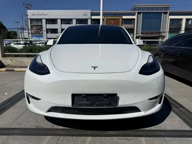 Tesla Model Y — Фото автомобиля 2