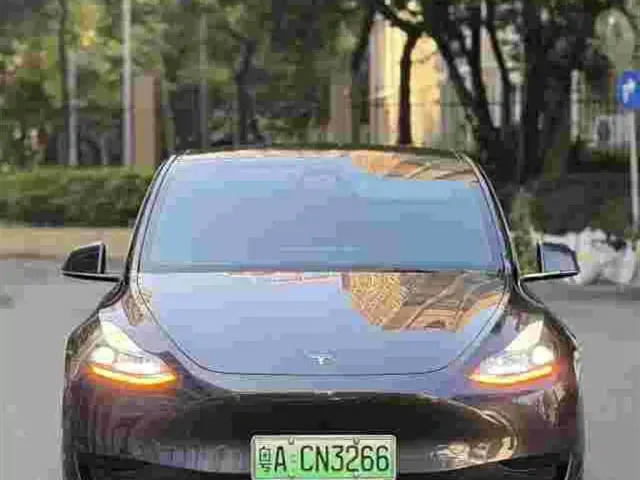 Tesla Model Y — Фото автомобиля 2