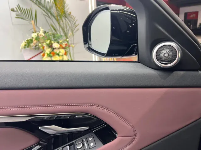 Land Rover Range Rover Evoque — Фото автомобиля 13