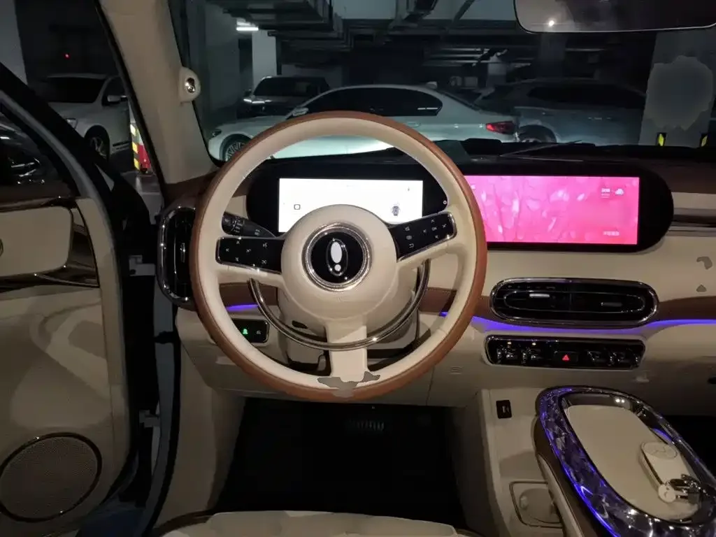 Ora Ora Ballet Cat 2022 401km Nutcracker Edition — Фото автомобиля 11