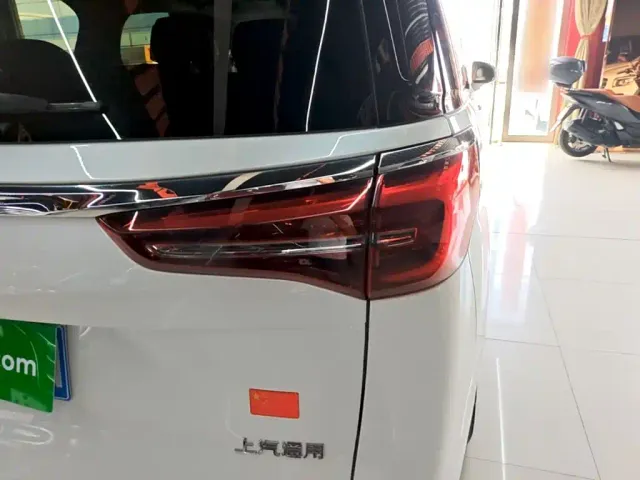 Buick GL8 — Фото автомобиля 7