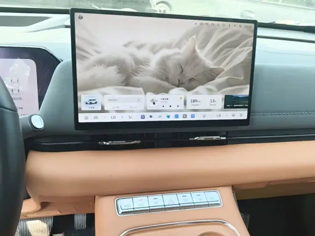 Haval Xiaolong MAX — Фото автомобиля 17