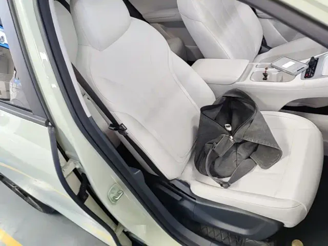 Geely Starry Wish — Фото автомобиля 24