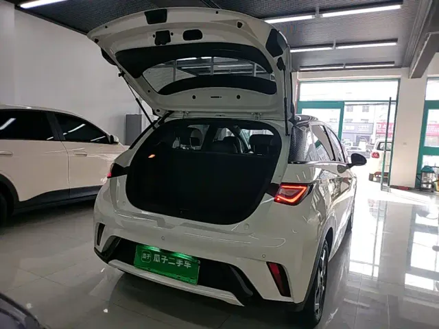 BYD Dolphin — Фото автомобиля 18