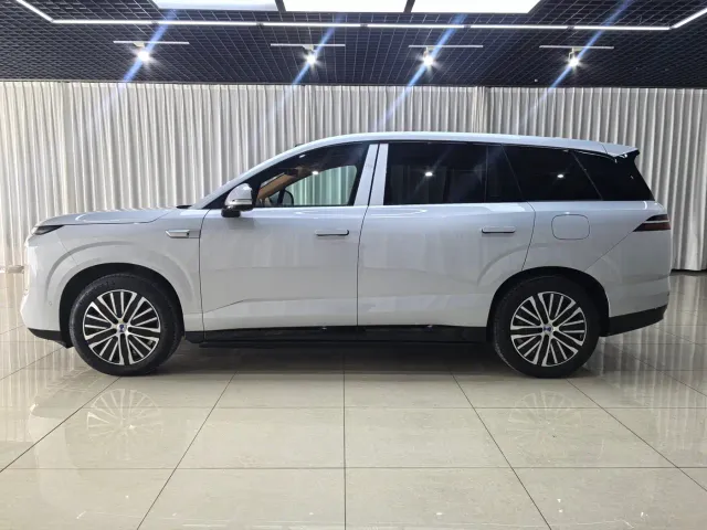 Denza N8L — Фото автомобиля 6