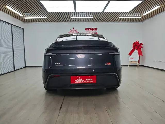 Tesla Model Y — Фото автомобиля 6