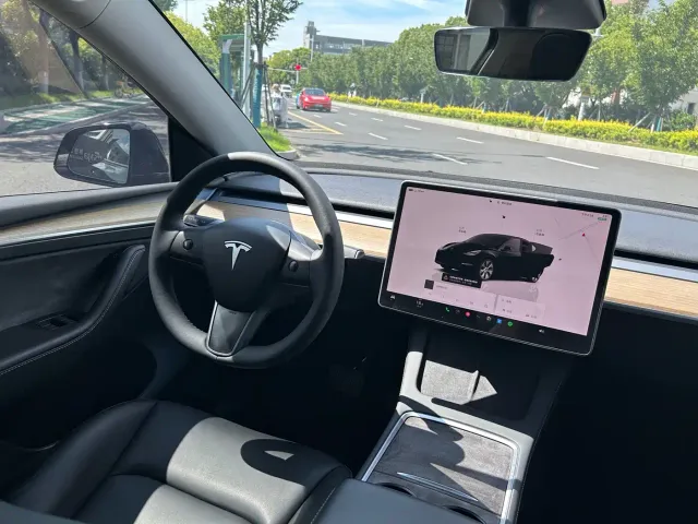 Tesla Model Y — Фото автомобиля 7