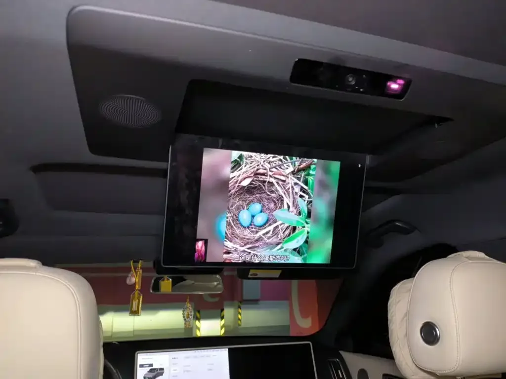 Li Auto Li Xiang L9 2024 Pro — Фото автомобиля 14