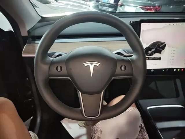 Tesla Model Y — Фото автомобиля 10