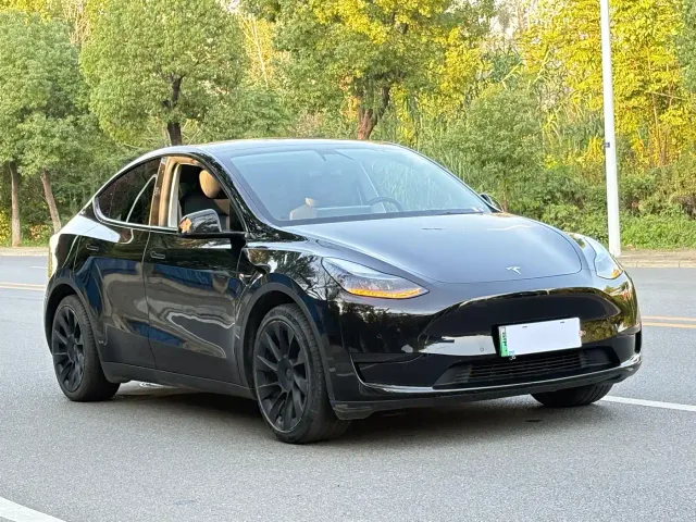 Tesla Model Y — Фото автомобиля 3