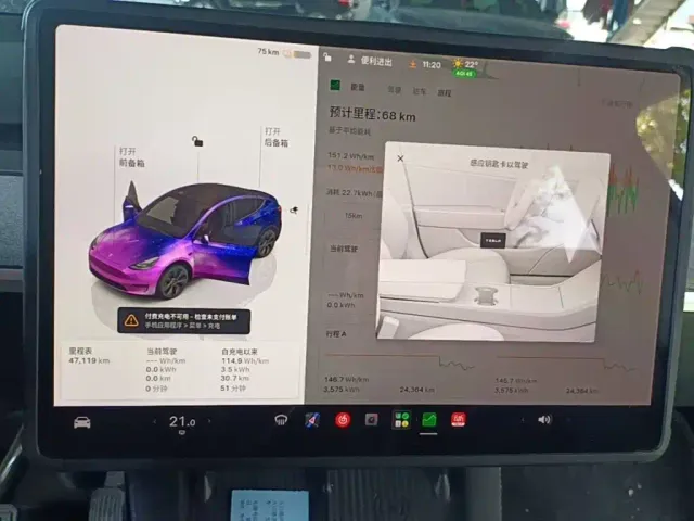 Tesla Model Y — Фото автомобиля 11