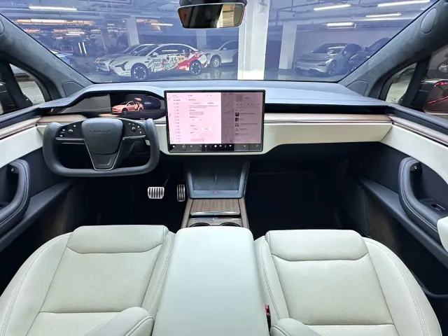 Tesla Model X — Фото автомобиля 13