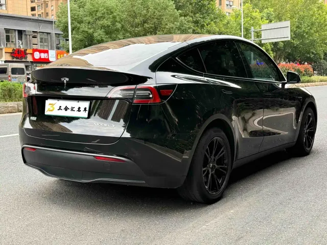 Tesla Model Y — Фото автомобиля 10