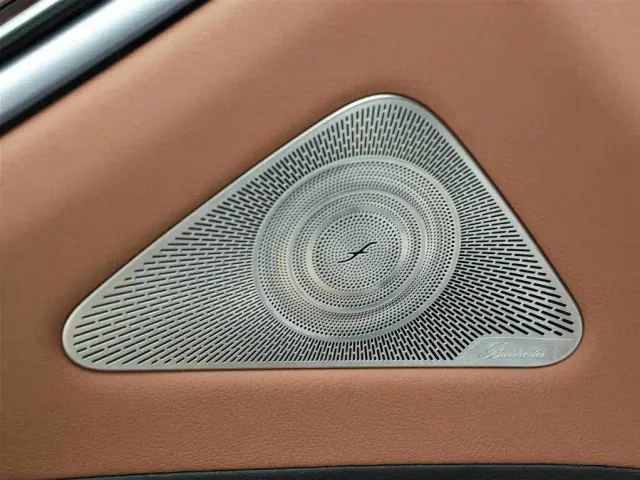 Mercedes-Benz S-Class — Фото автомобиля 17