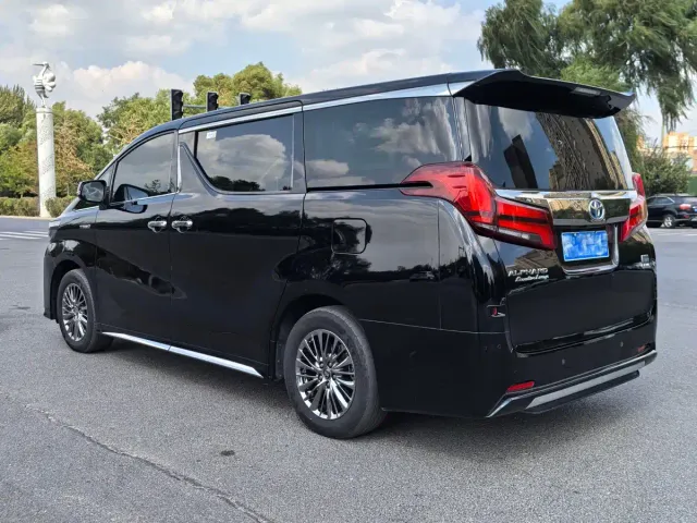Toyota Alphard — Фото автомобиля 12