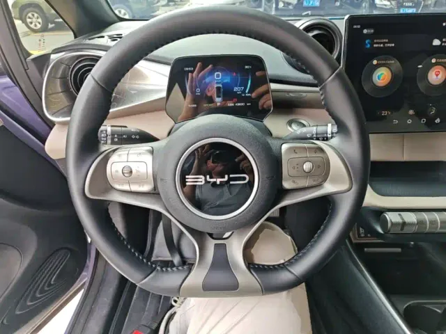 BYD Dolphin — Фото автомобиля 10