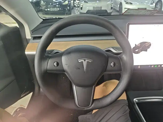 Tesla Model 3 — Фото автомобиля 10