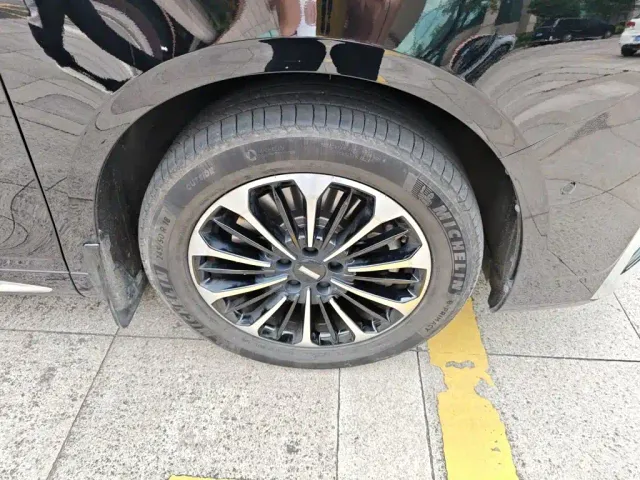 Wey Alpine — Фото автомобиля 8