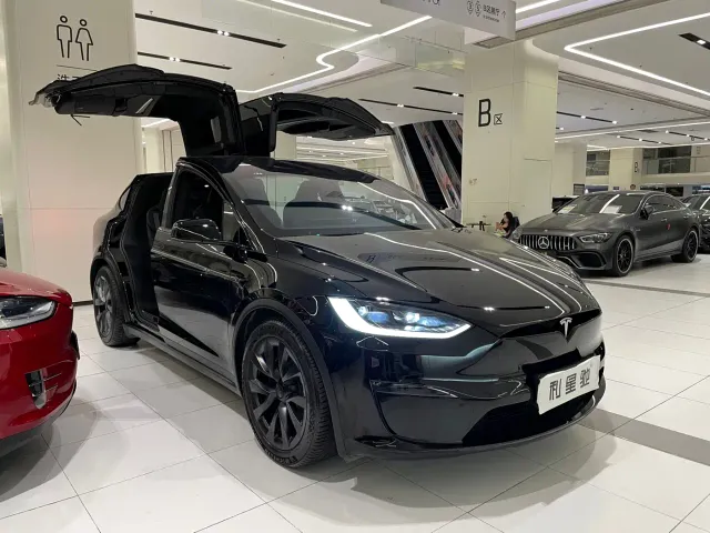 Tesla Model X — Фото автомобиля 3