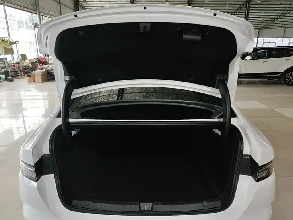 BYD Destroyer 05 2024 Glory Edition DM-i 55KM Luxury — Фото автомобиля 18