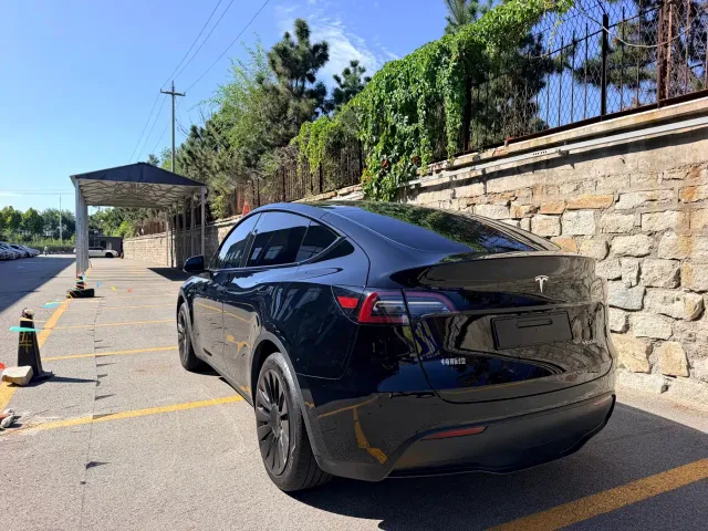 Tesla Model Y — Фото автомобиля 7