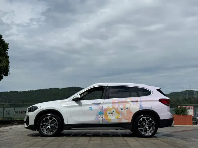 BMW X1 — Фото автомобиля 10