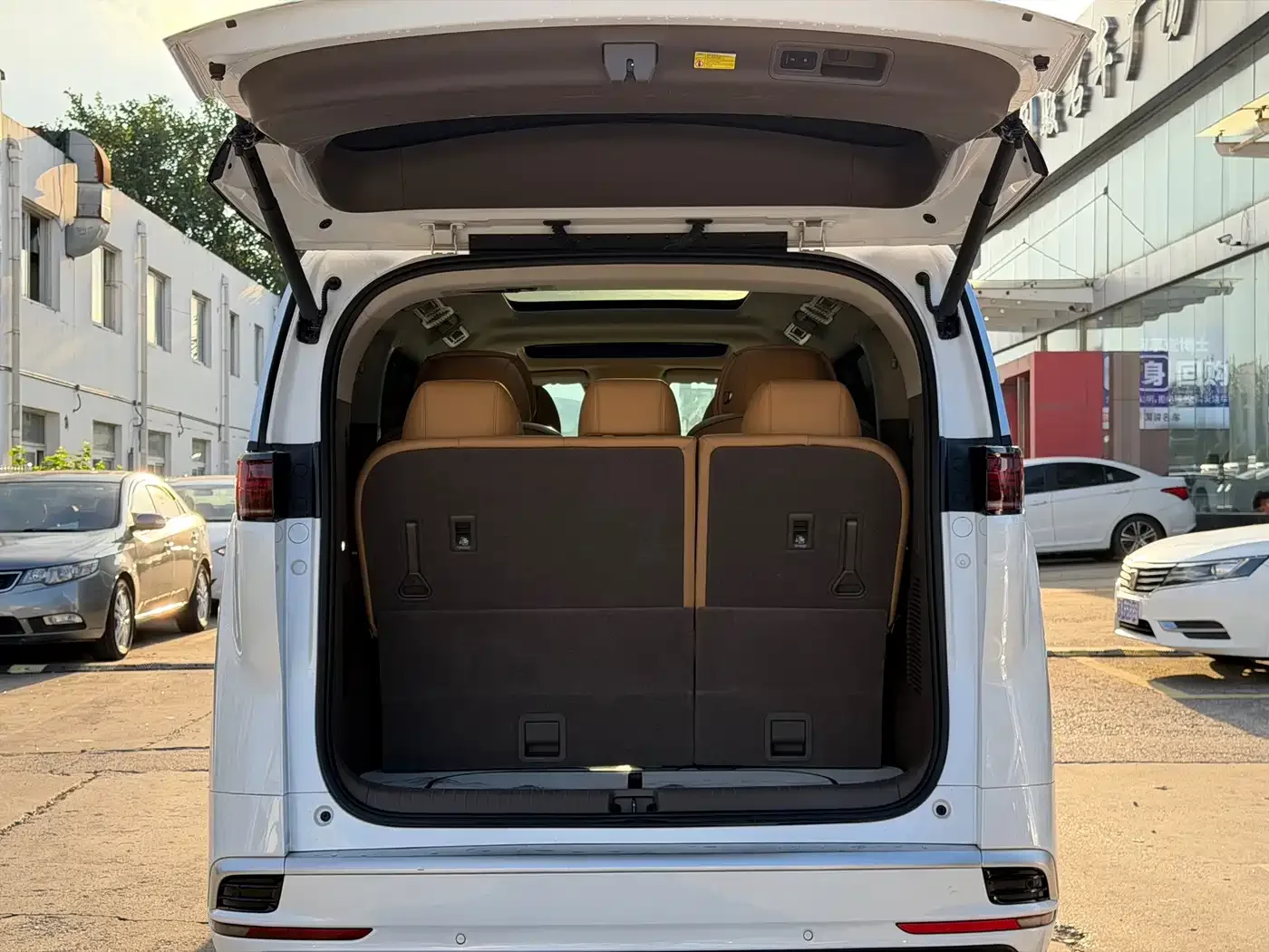 Denza Denza D9 2022 DM-i 1040 Premium — Фото автомобиля 14