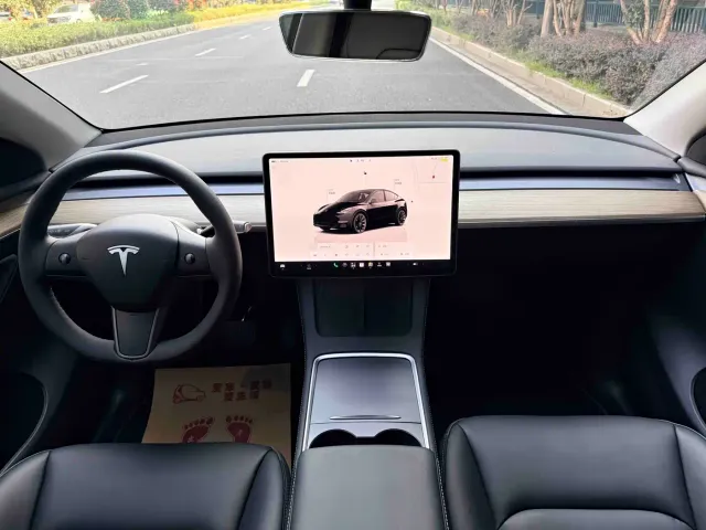 Tesla Model Y — Фото автомобиля 13