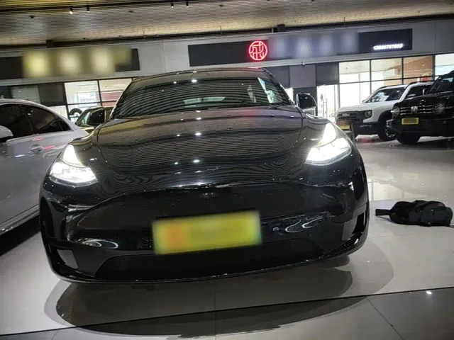 Tesla Model Y — Фото автомобиля 2