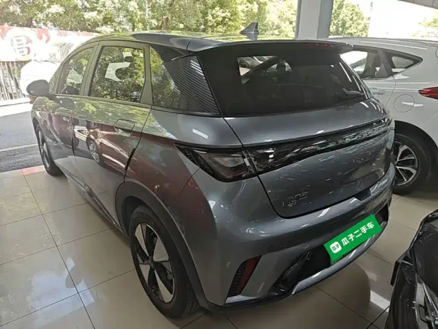 BYD Dolphin — Фото автомобиля 4