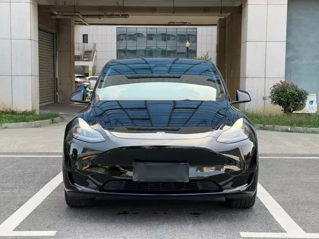 Tesla Model Y — Фото автомобиля 2