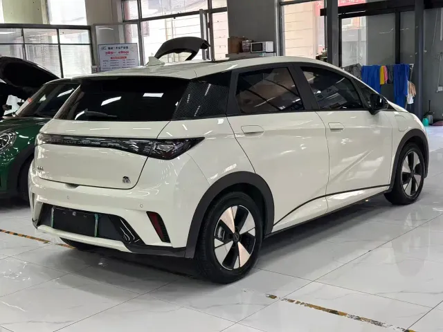BYD Dolphin — Фото автомобиля 3