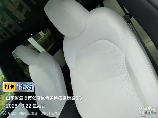 Tesla Model Y — Фото автомобиля 3