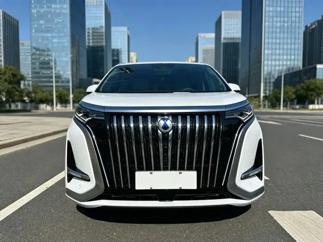 Denza D9 — Фото автомобиля 2