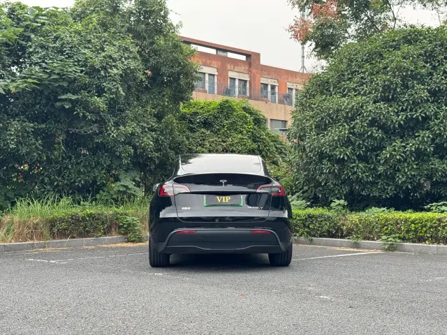 Tesla Model Y — Фото автомобиля 6