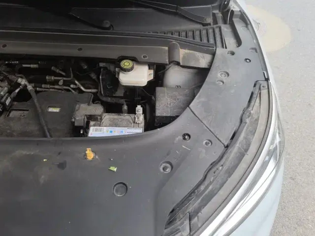 BYD Yuan PLUS 2024 Glory Edition 510KM Leading — Фото автомобиля 20