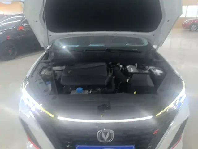 Changan Eado — Фото автомобиля 15