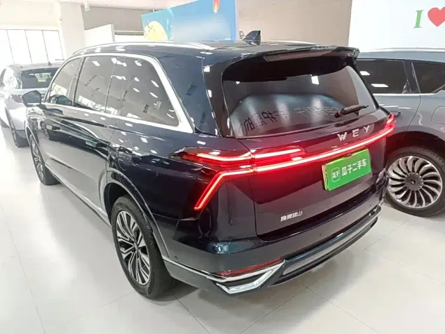 Wey Lanshan — Фото автомобиля 4