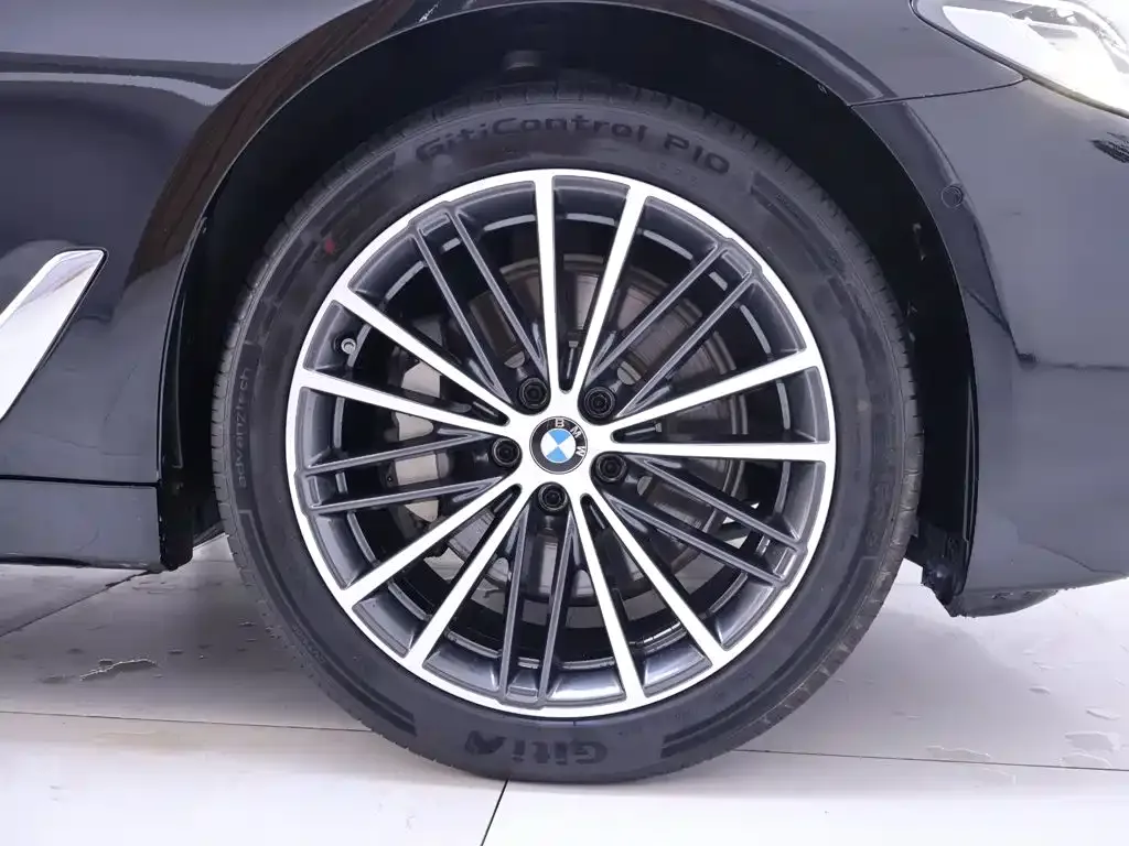 BMW BMW 5 Series 2022 Model Second Facelift 530Li Leading Luxury Package — Фото автомобиля 6