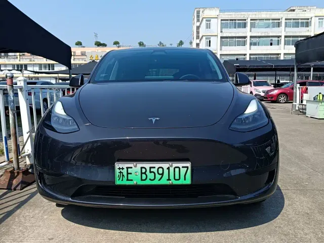Tesla Model Y — Фото автомобиля 2