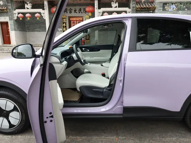 Geely Starry Wish — Фото автомобиля 25