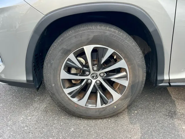 Lexus RX — Фото автомобиля 16