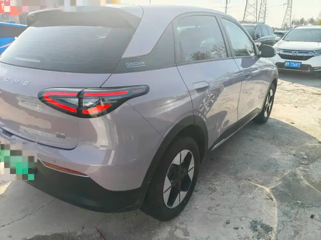 Geely Starry Wish — Фото автомобиля 9