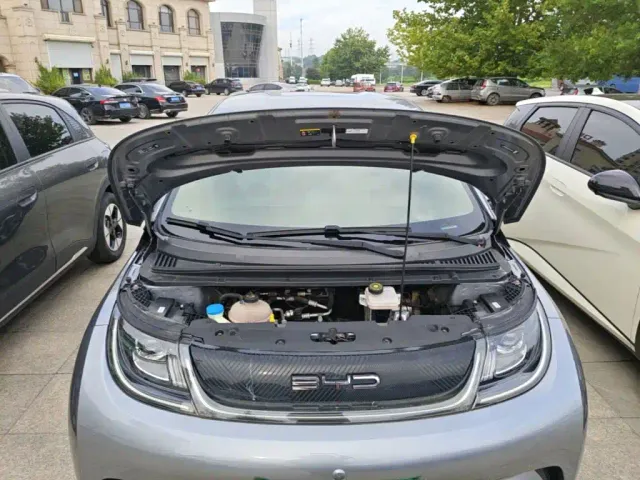 BYD Dolphin — Фото автомобиля 19