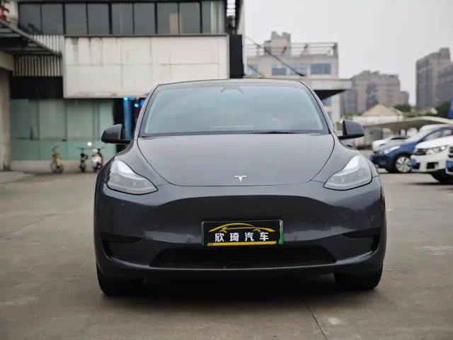 Tesla Model Y — Фото автомобиля 2