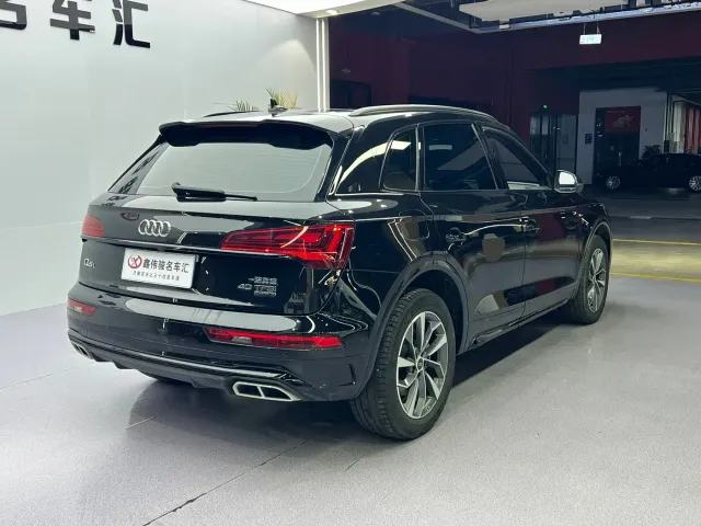 Audi Q5L — Фото автомобиля 18