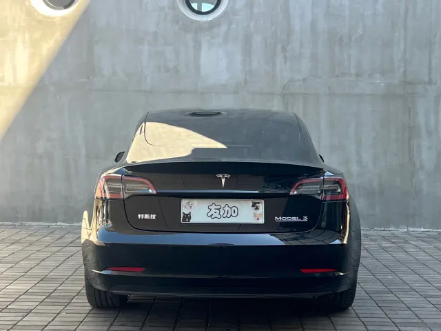 Tesla Model 3 2022 Performance High-Performance AWD — Фото автомобиля 23