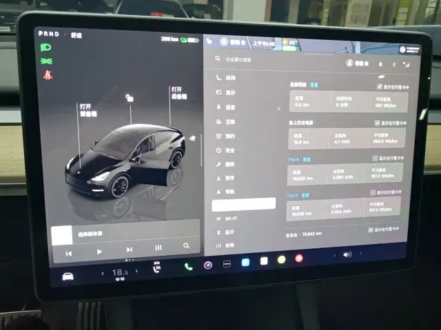Tesla Model Y — Фото автомобиля 7