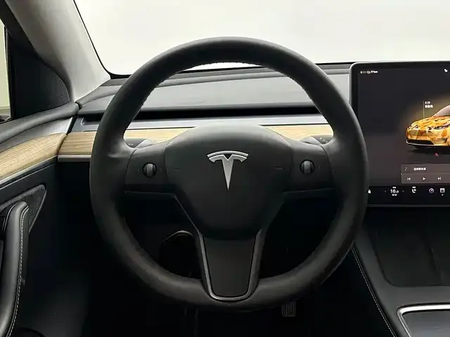 Tesla Model Y — Фото автомобиля 11