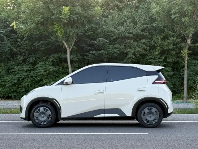 BYD Seagull 2025 Smart Drive Edition 305km Vitality Version — Фото автомобиля 3